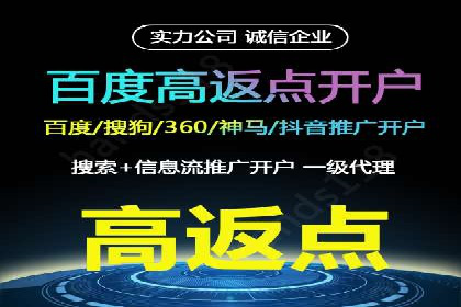 网络推广策略：竞价广告的实践案例